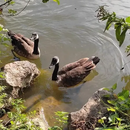 Maison Cosy Des 3 Etangs *