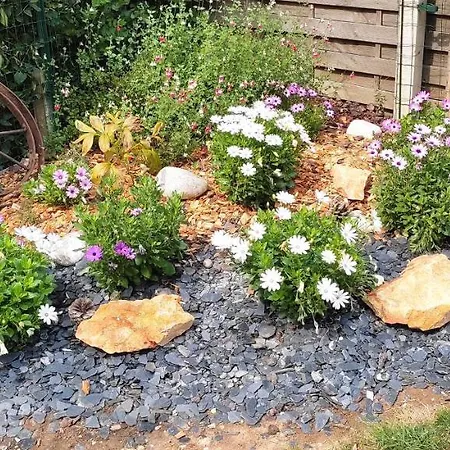 Maison Cosy Des 3 Etangs